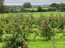 Load image into Gallery viewer, Traditional Smoked Suffolk Gammon Box - Emmett's
