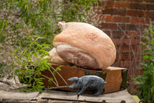 Load image into Gallery viewer, Lemon Verbena Unsmoked Cooked Whole Ham On The Bone - Emmett&#39;s

