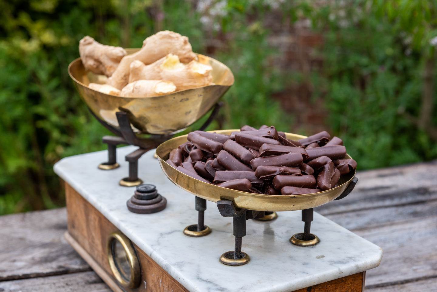 Crystallised Stem Ginger in Plain Chocolate - Emmett's