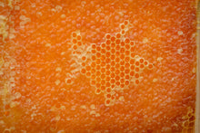 Load image into Gallery viewer, Organic Spanish Honeycomb - Emmett&#39;s
